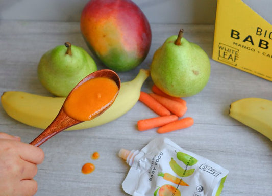 spoon with baby food puree