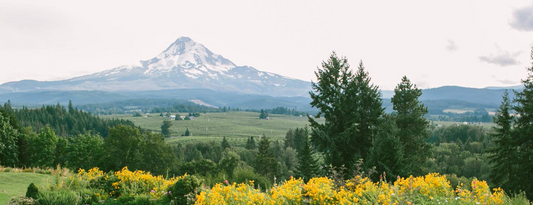 mt hood biodynamic farm