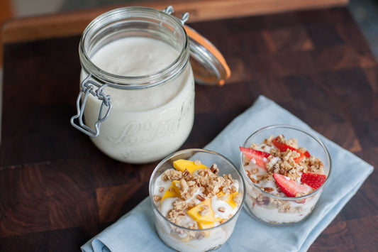 homemade yogurt recipe