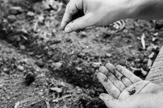 What is Regenerative Agriculture?