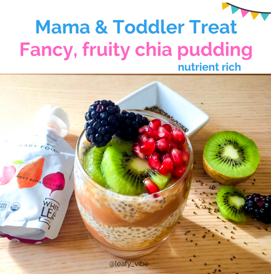 healthy chia pudding with fruit