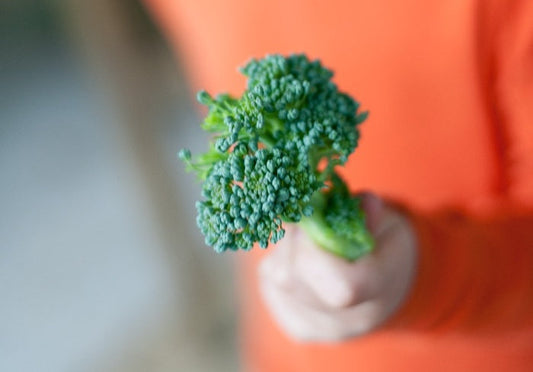 kid holding broccolini for article on healthy eating habits