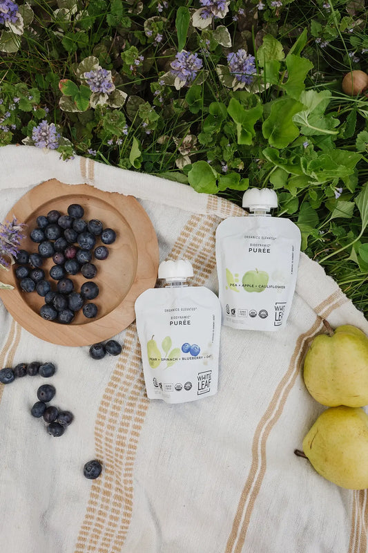 What’s Really in Your Toddler’s Food? Why White Leaf Tests for Glyphosate