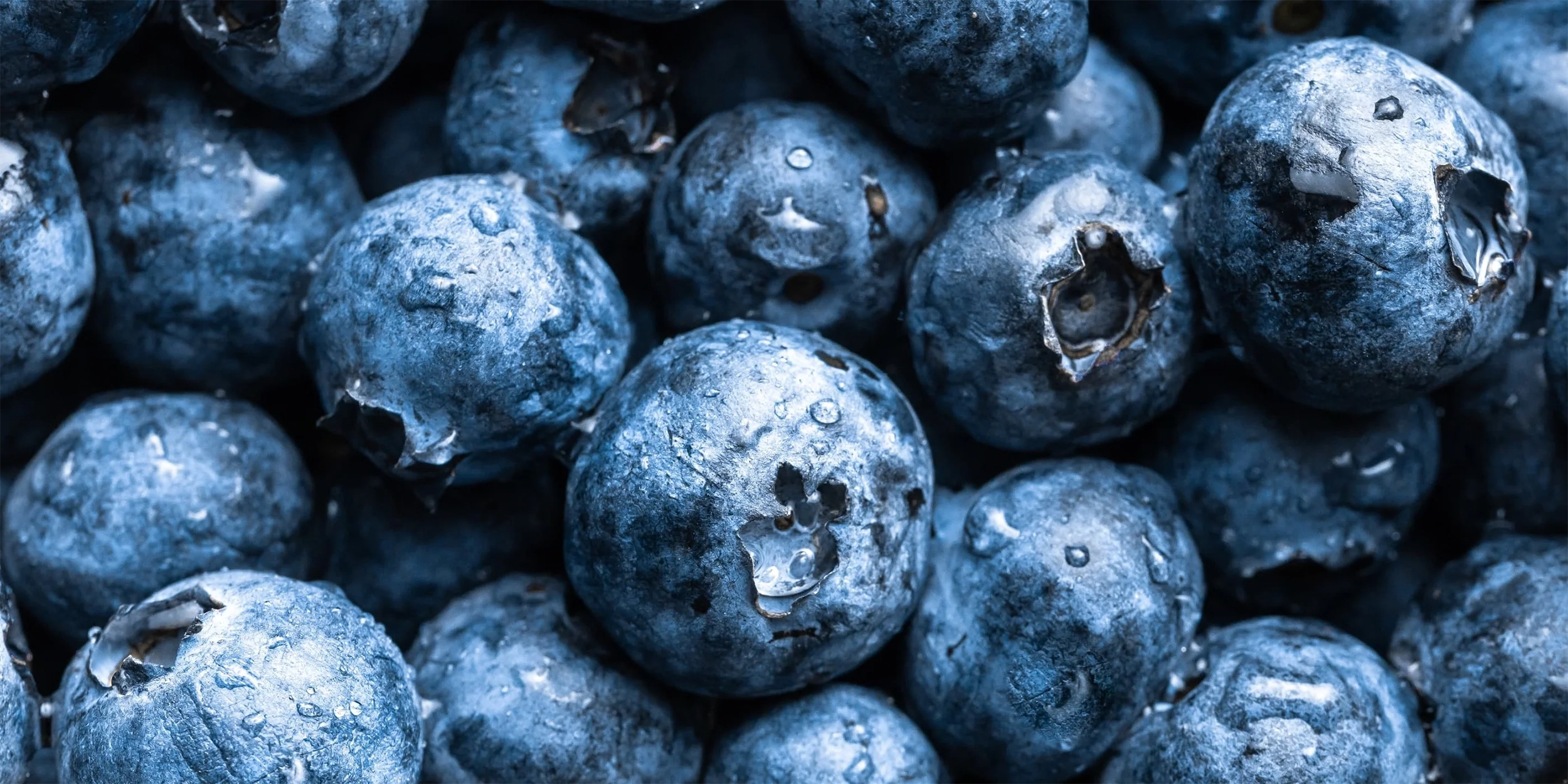 about white leaf provisions