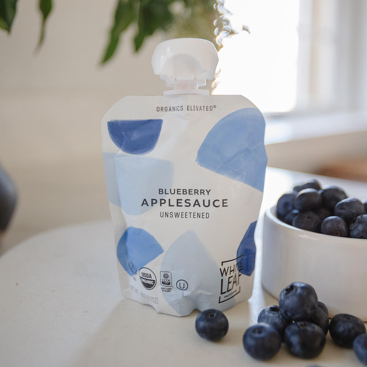 blueberry applesauce pouch