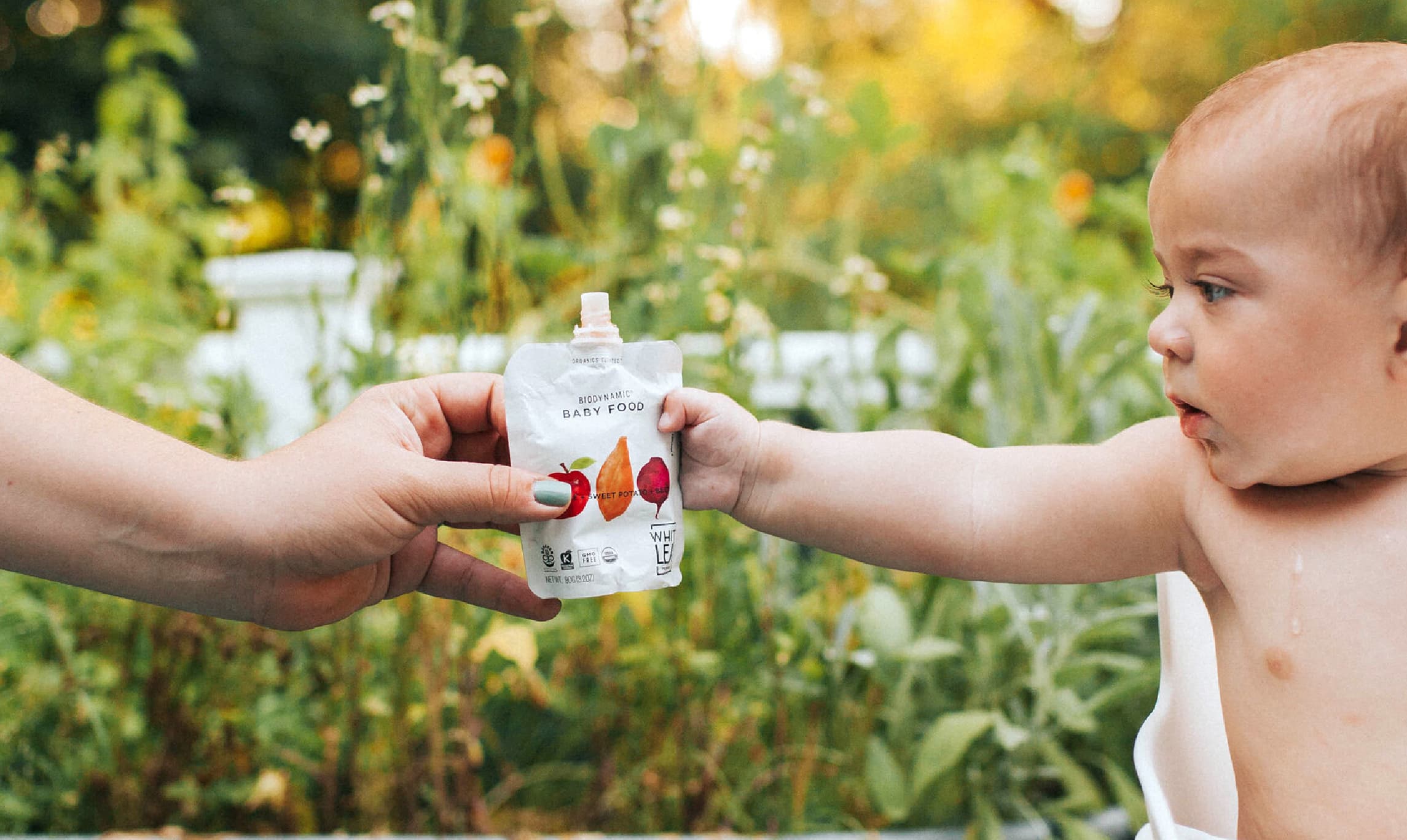 biodynamic baby food