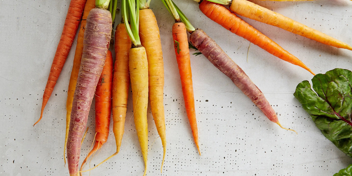 what is regenerative agriculture?